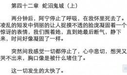 阿媚的吃瓜笔记免费阅读,揭秘娱乐圈幕后故事
