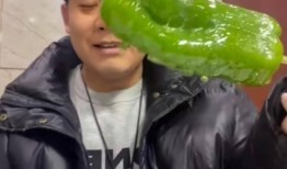 网红杨咩咩吃瓜,揭秘网红圈幕后故事